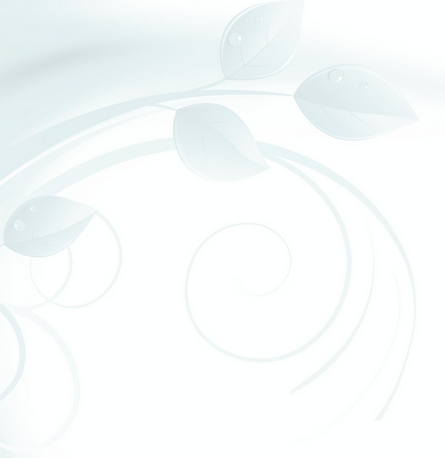 Branding vines_260224_edited_edited.png