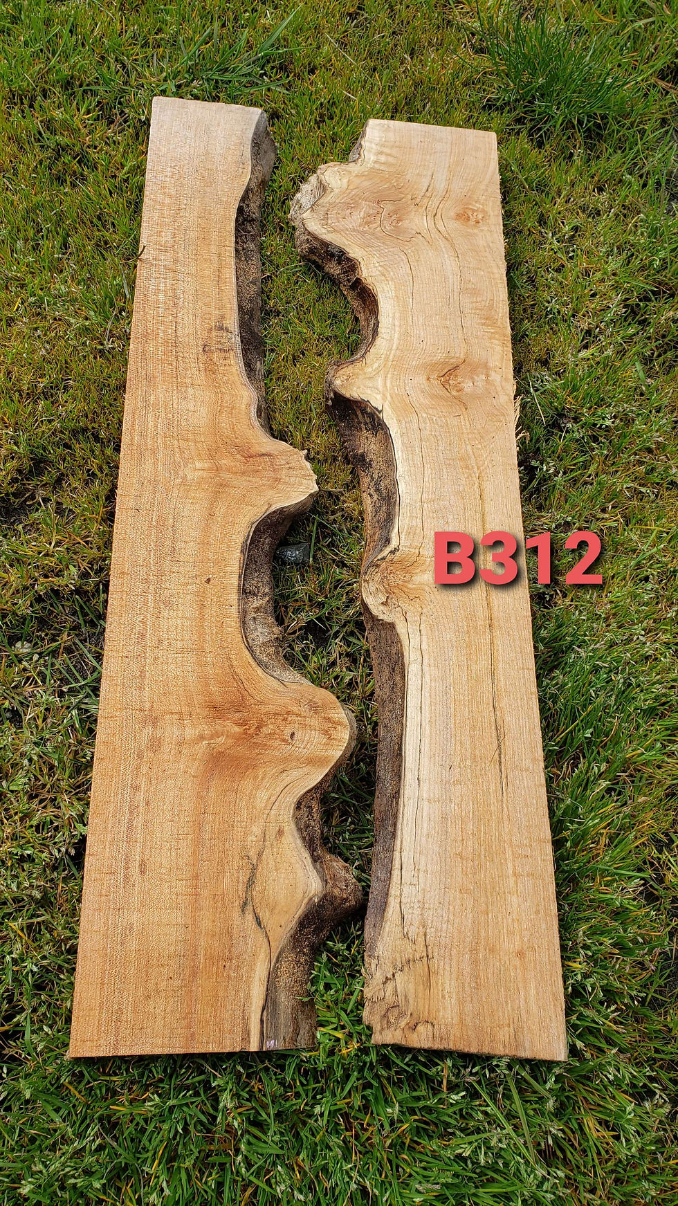 Maple burl 2 slabs. (B312) Free shipping. Great for epoxy projects.
