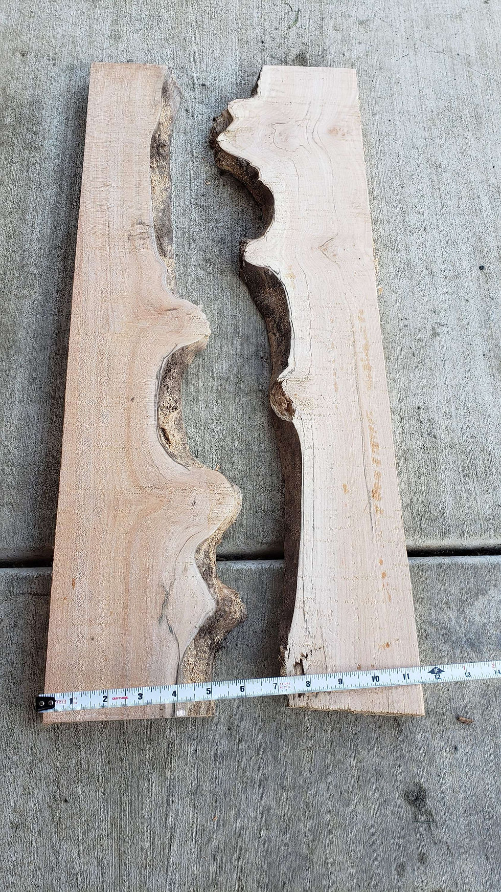 Thumbnail: Maple burl 2 slabs. (B312) Free shipping.  Great for epoxy projects. 