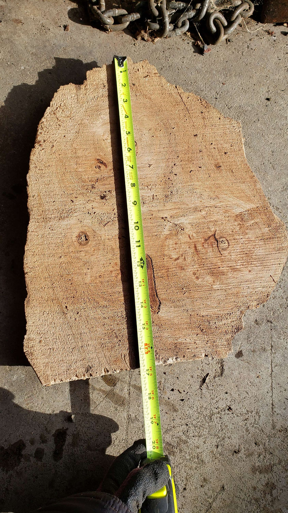 Thumbnail: Maple burl 1 piece . (B347) Free shipping 