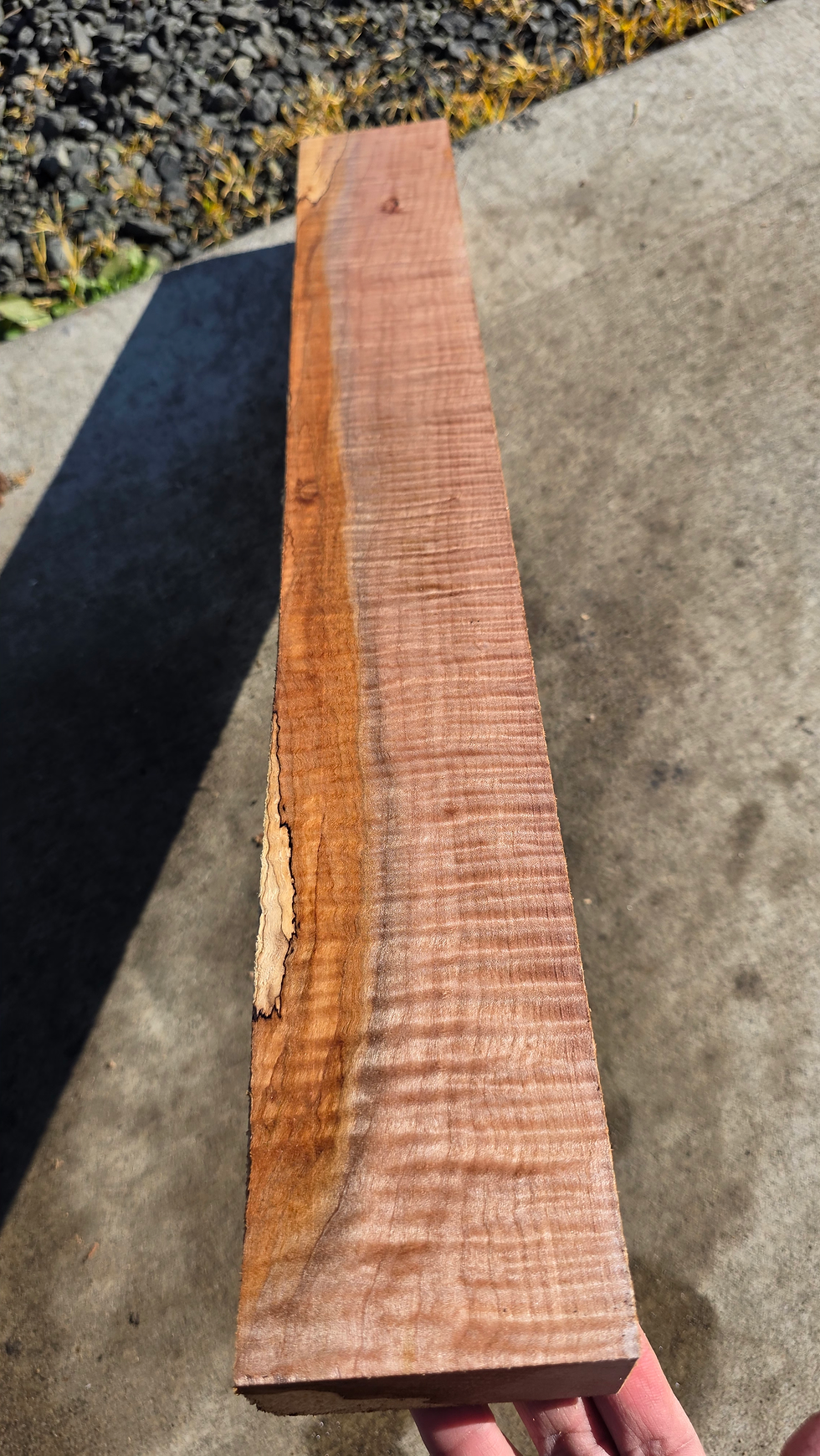 Thumbnail: Curly Spalted maple 1 piece (B521)