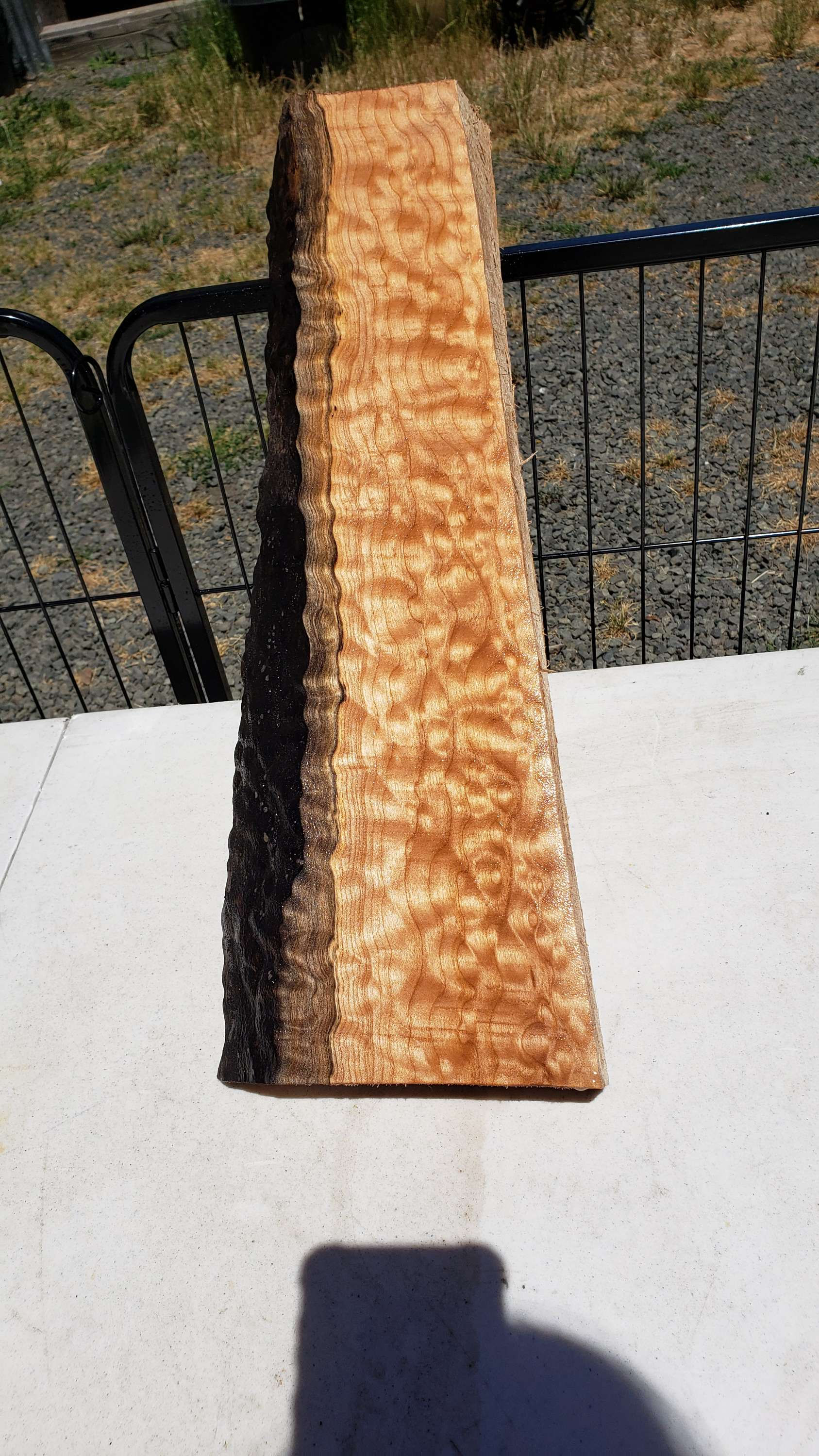 Quilted maple 1 piece (428)