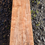 Thumbnail: Curly Maple with splated 1 Piece (B481)