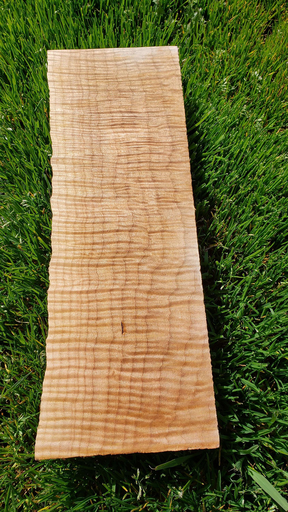 Thumbnail: Curly maple or fiddleback maple 1 piece (B324) Free shipping 
