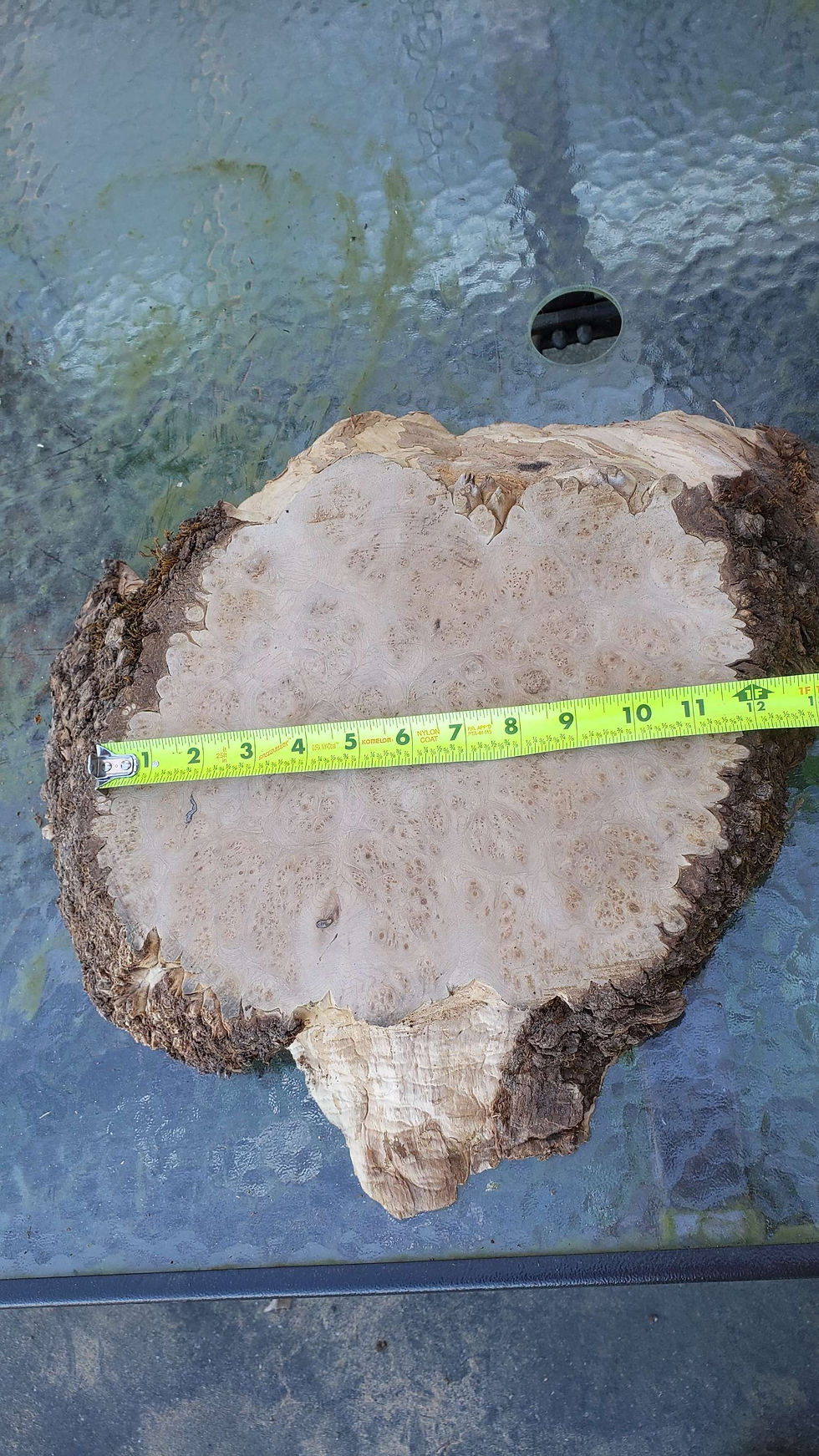 Thumbnail: Maple burl 1 piece (B404)