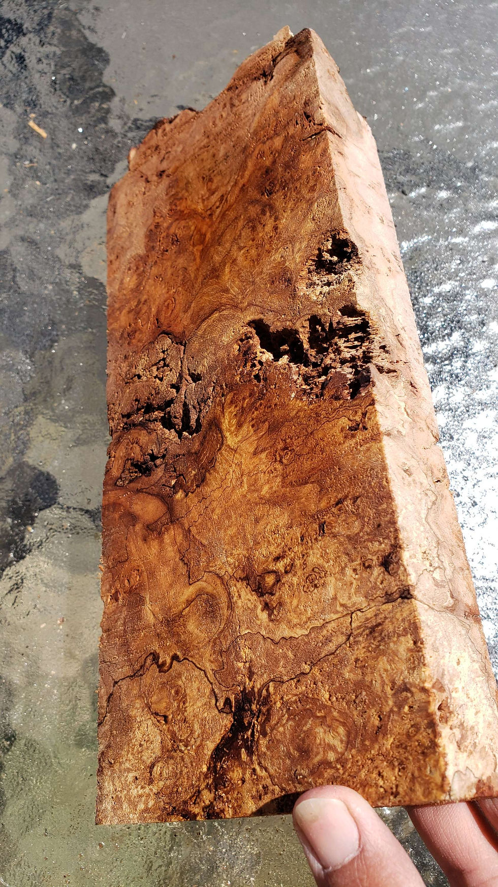 Thumbnail: Splated maple burl  stump 1 piece (B440) 