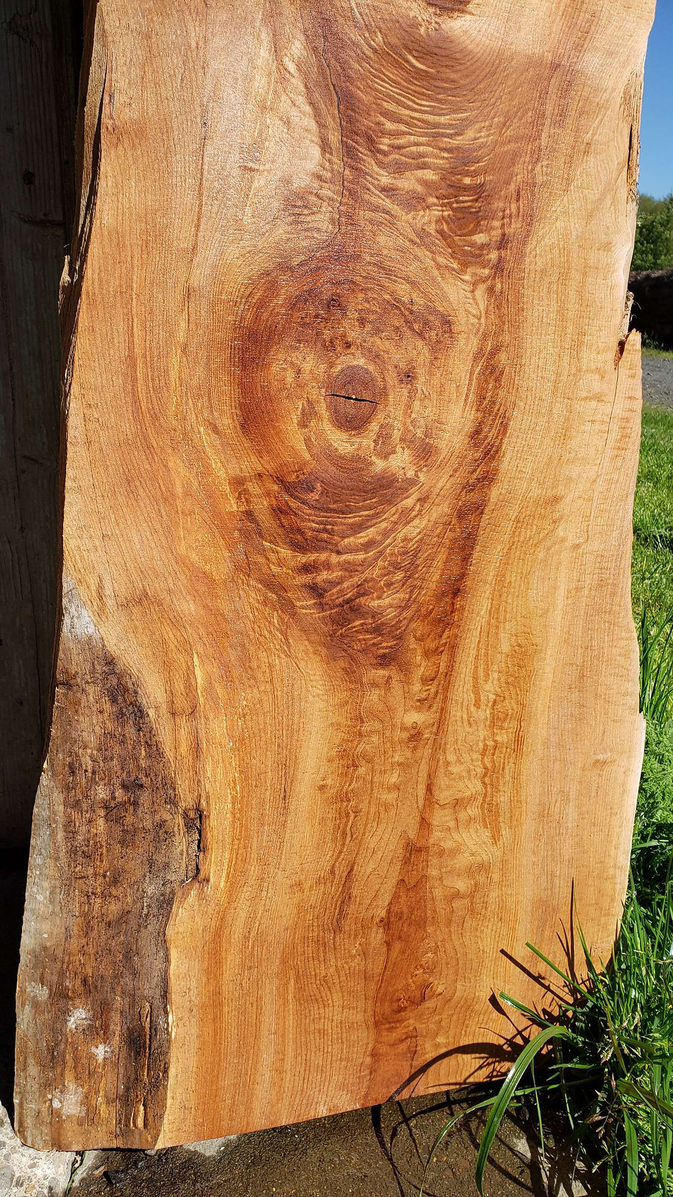 Thumbnail: Quilted maple 1 slab (B410)