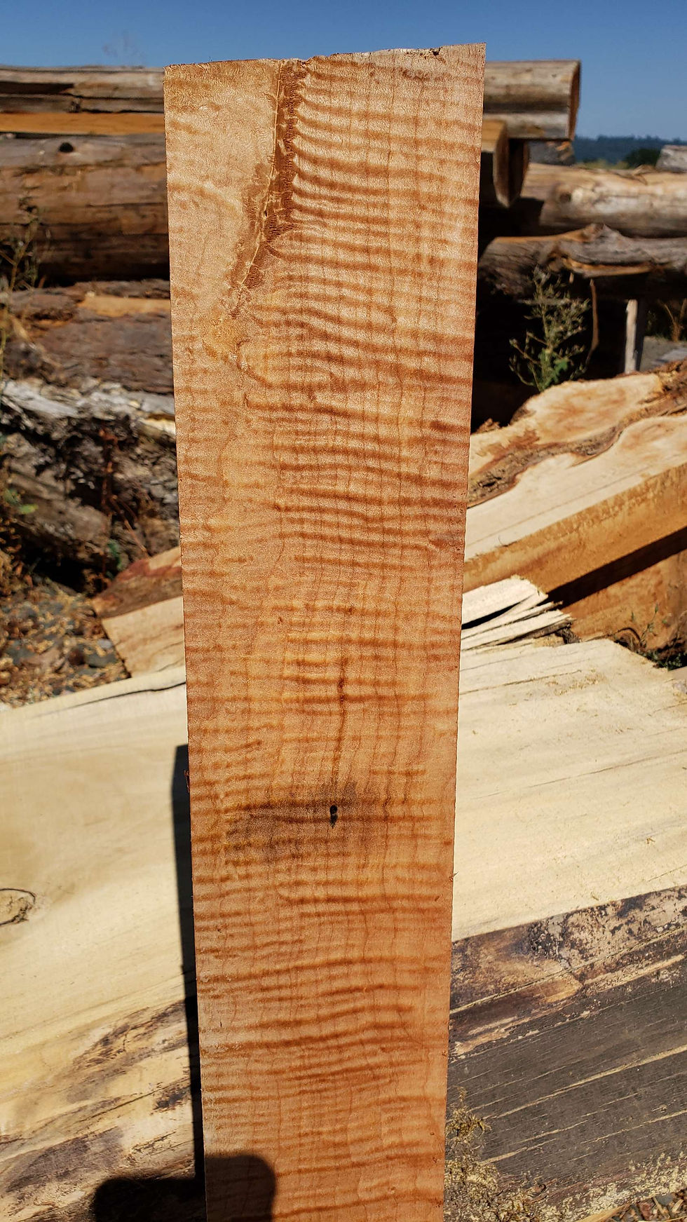 Thumbnail: Curly maple 1 block (B450)