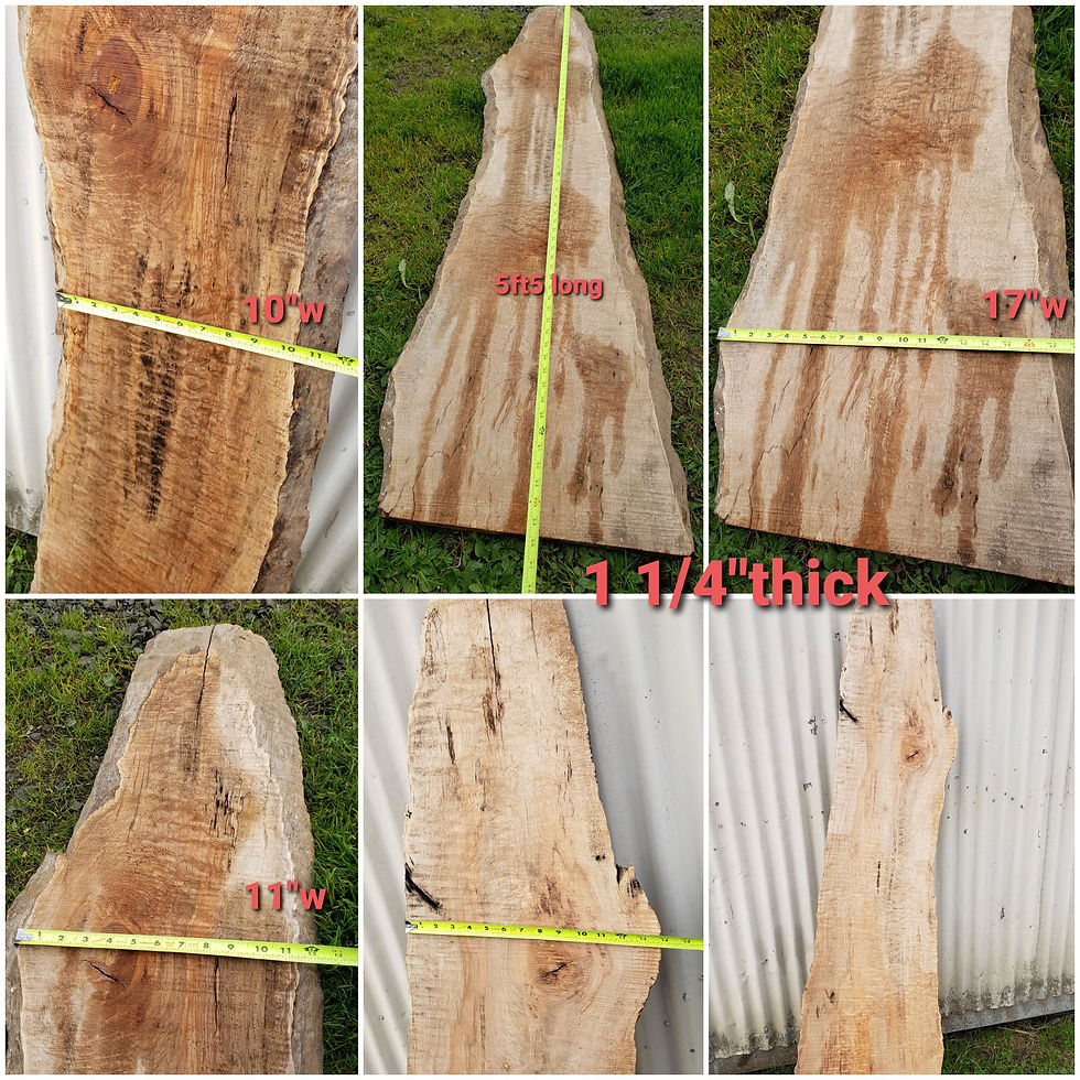 Thumbnail: Quilted maple 1 slab (B463)