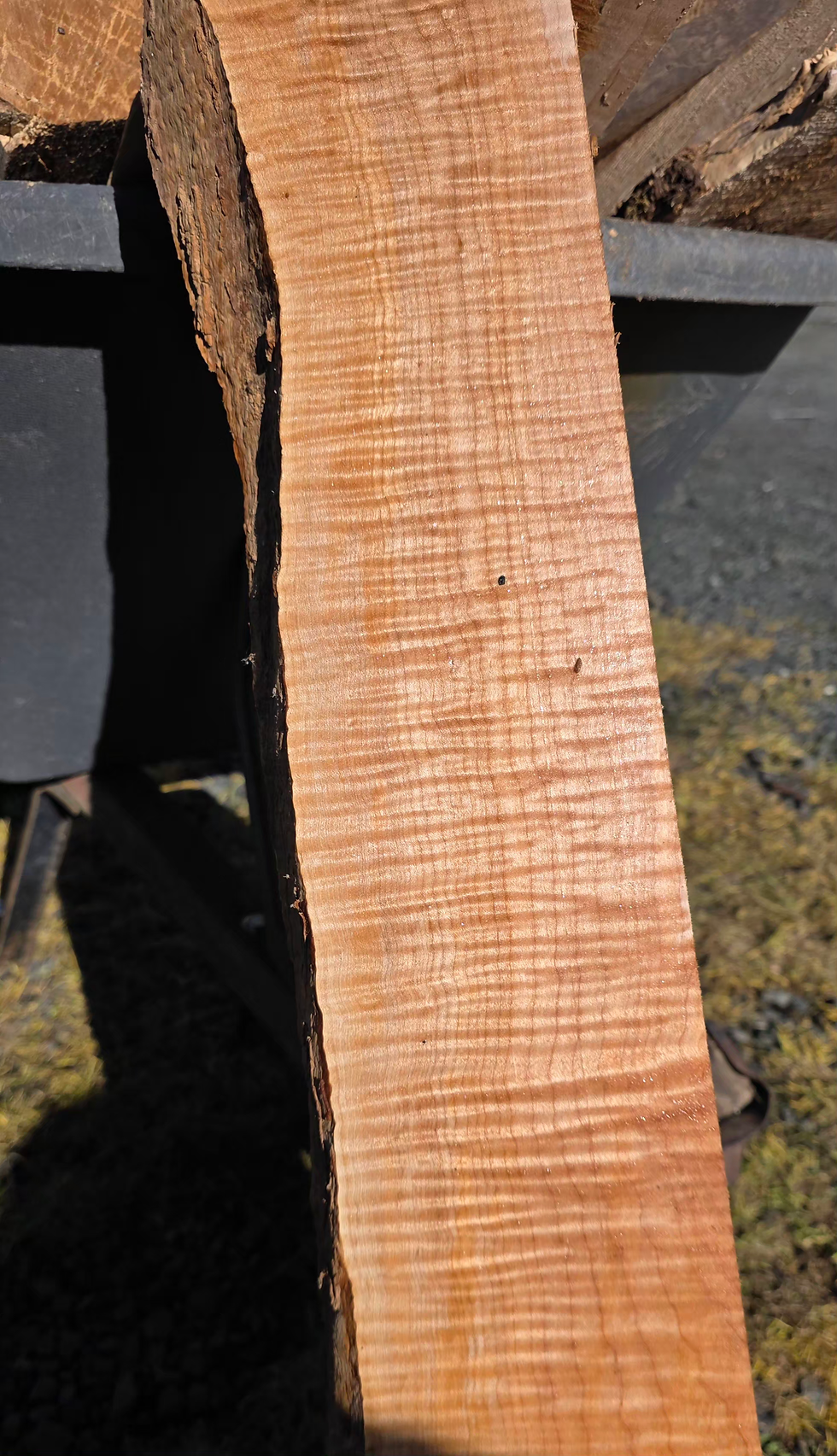 Thumbnail: Curly Maple 1 piece (B527)