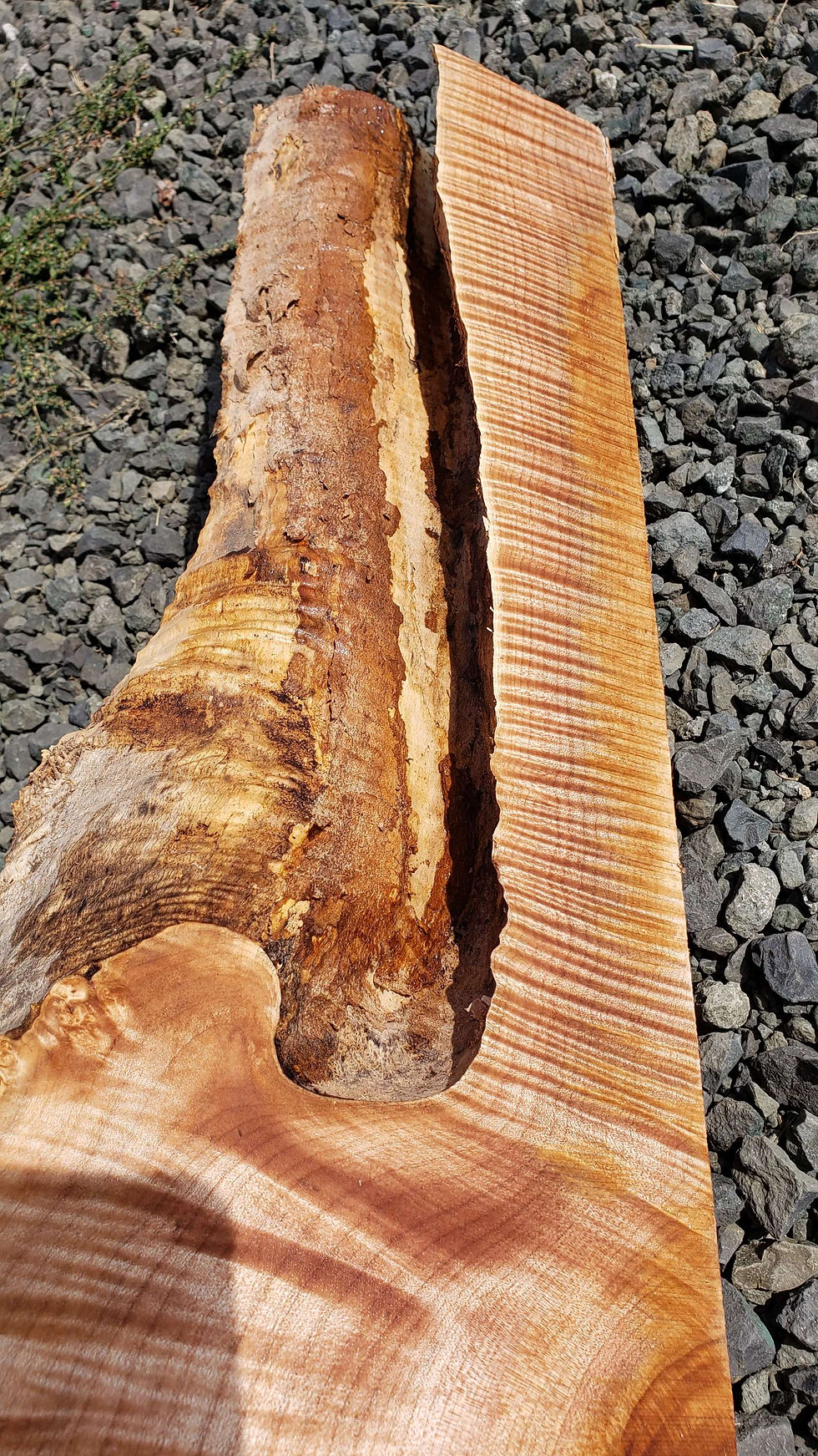 Thumbnail: Curly maple 1 piece (B456)