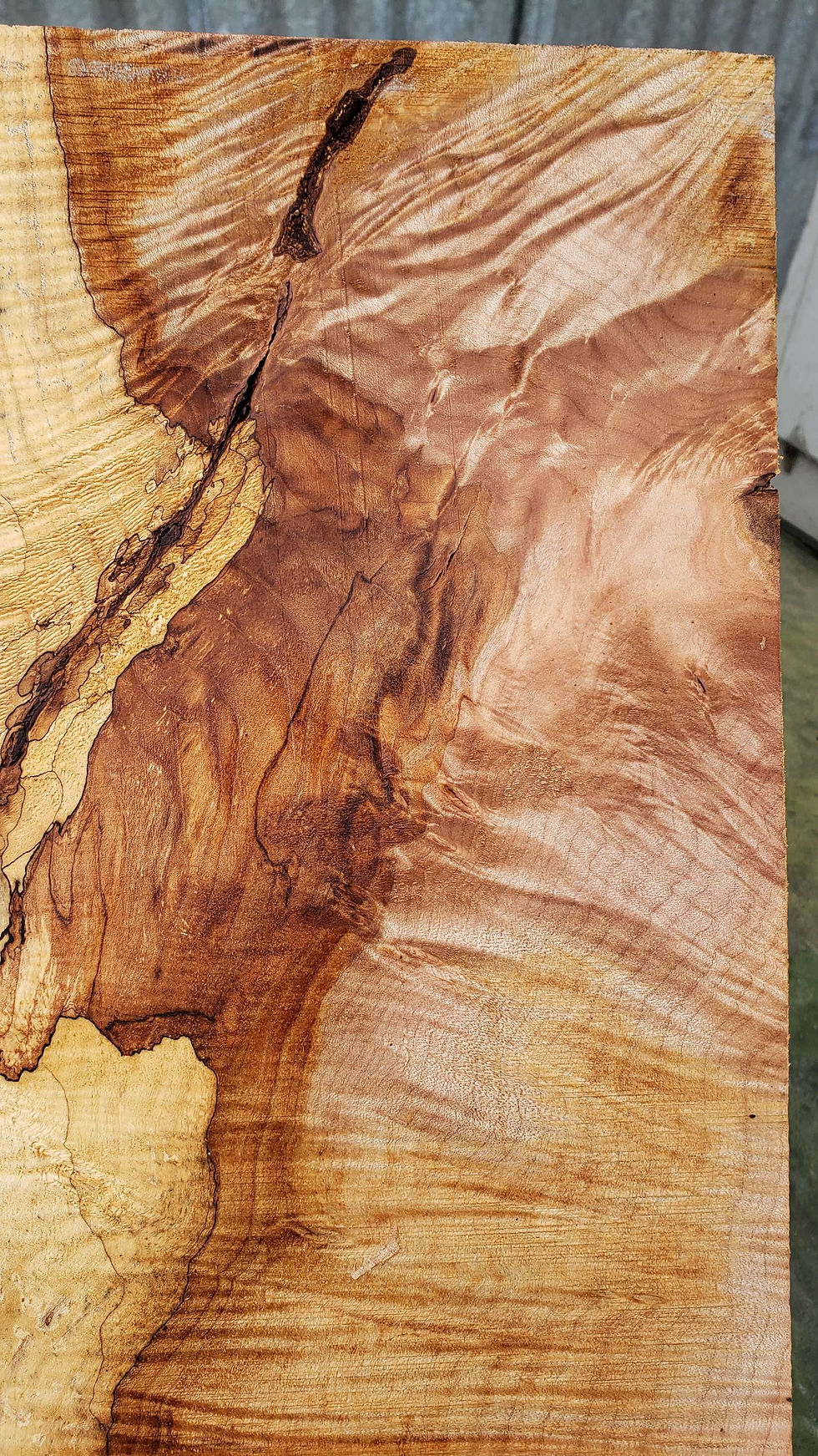 Thumbnail: Curly splated maple 1 piece (B372)
