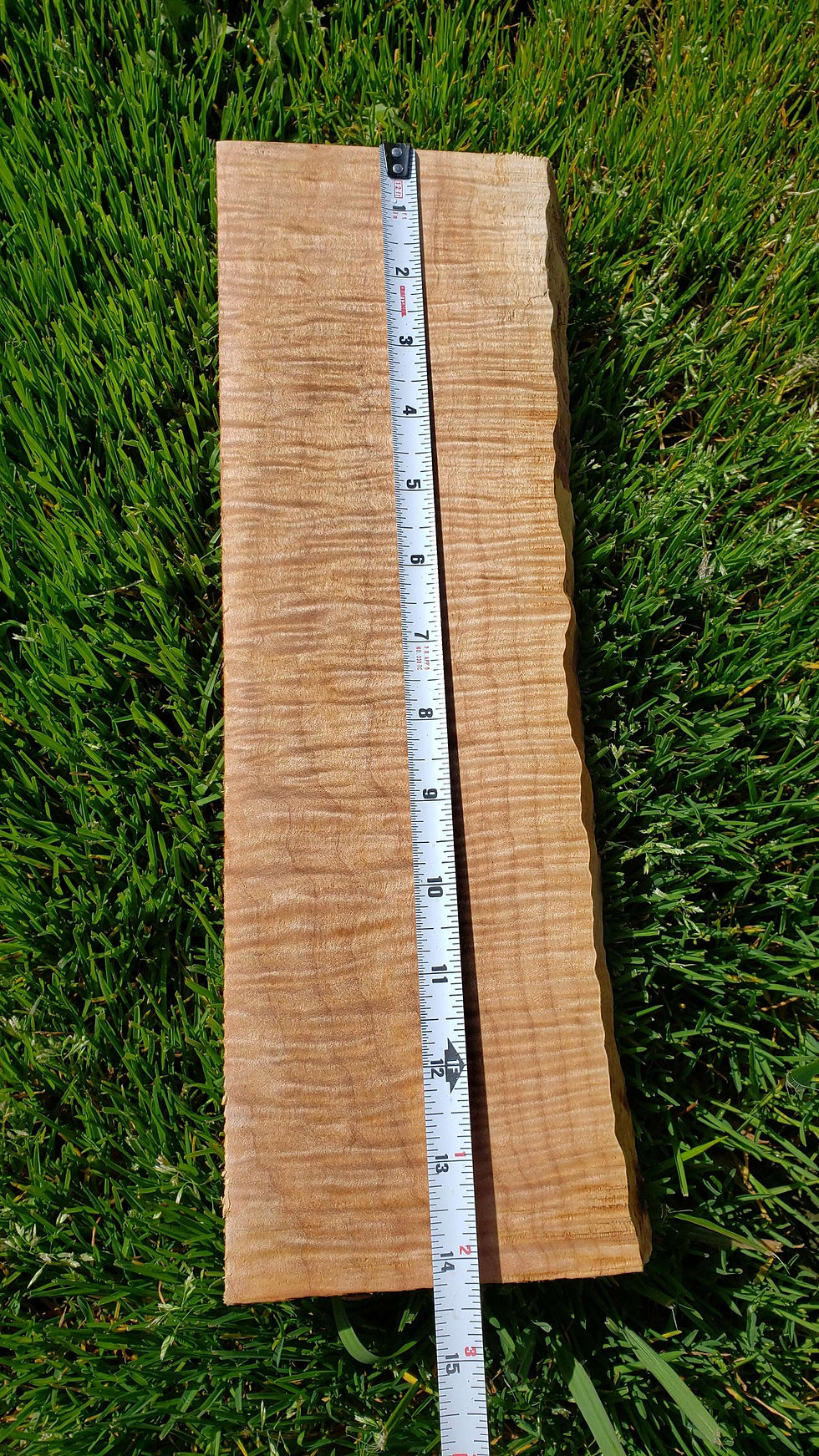 Thumbnail: Curly maple or fiddleback maple 1 piece (B324) Free shipping 