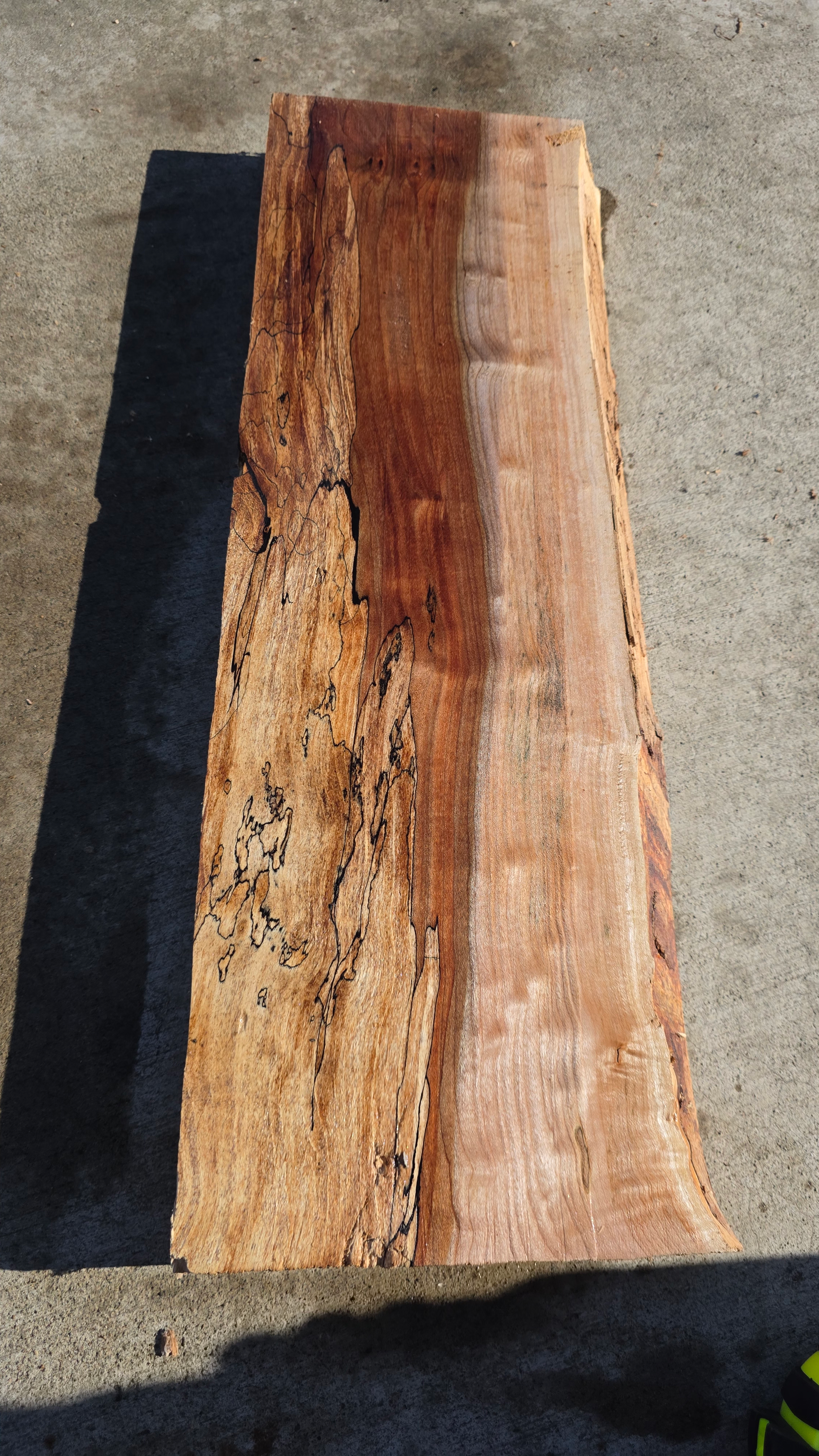 Spalted maple 1 piece (B520)