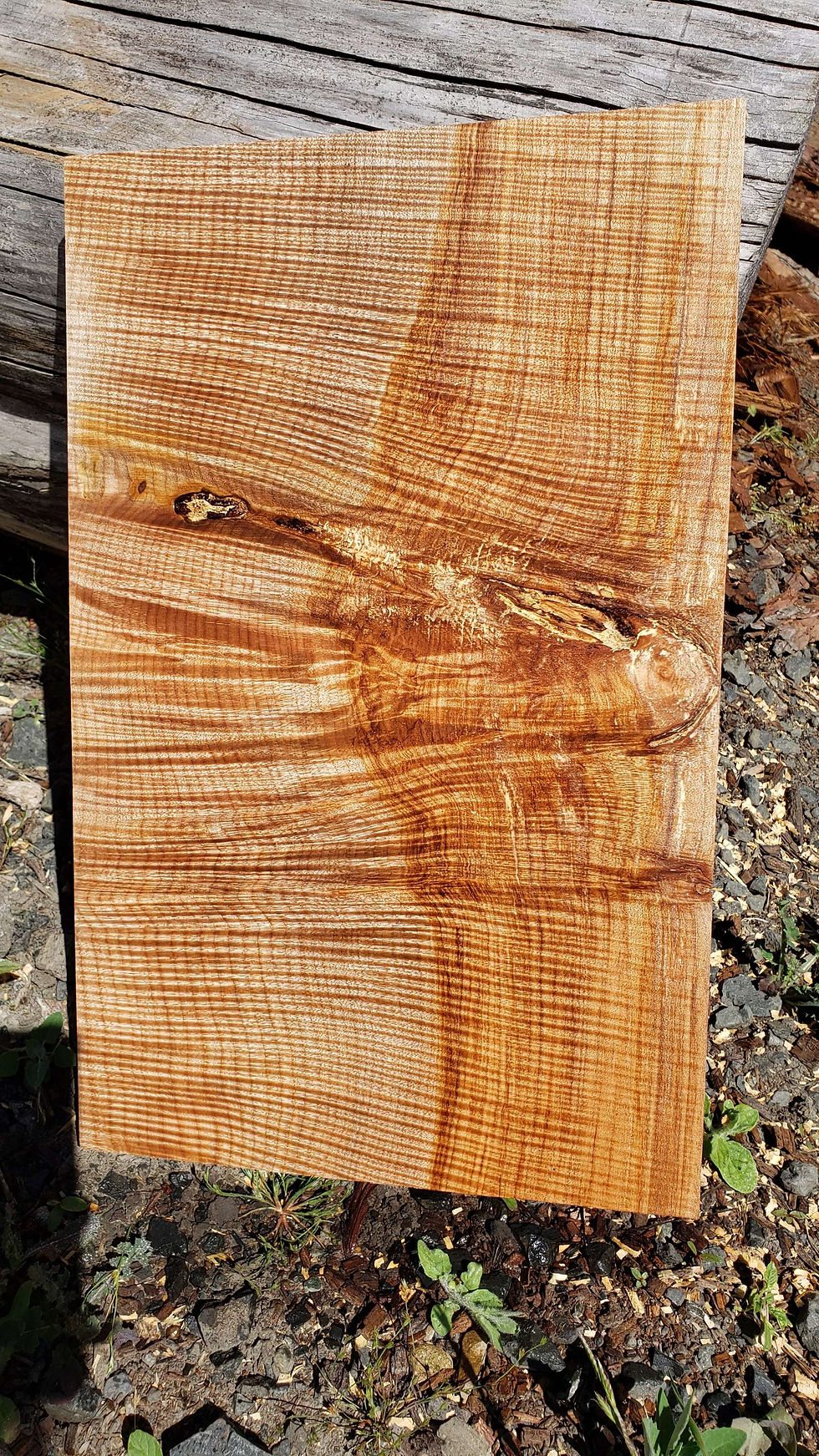 Curly maple 1 piece (B426)