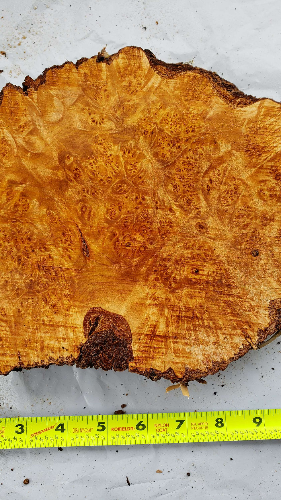 Thumbnail: Maple burl 1 piece. (B339) free shipping 
