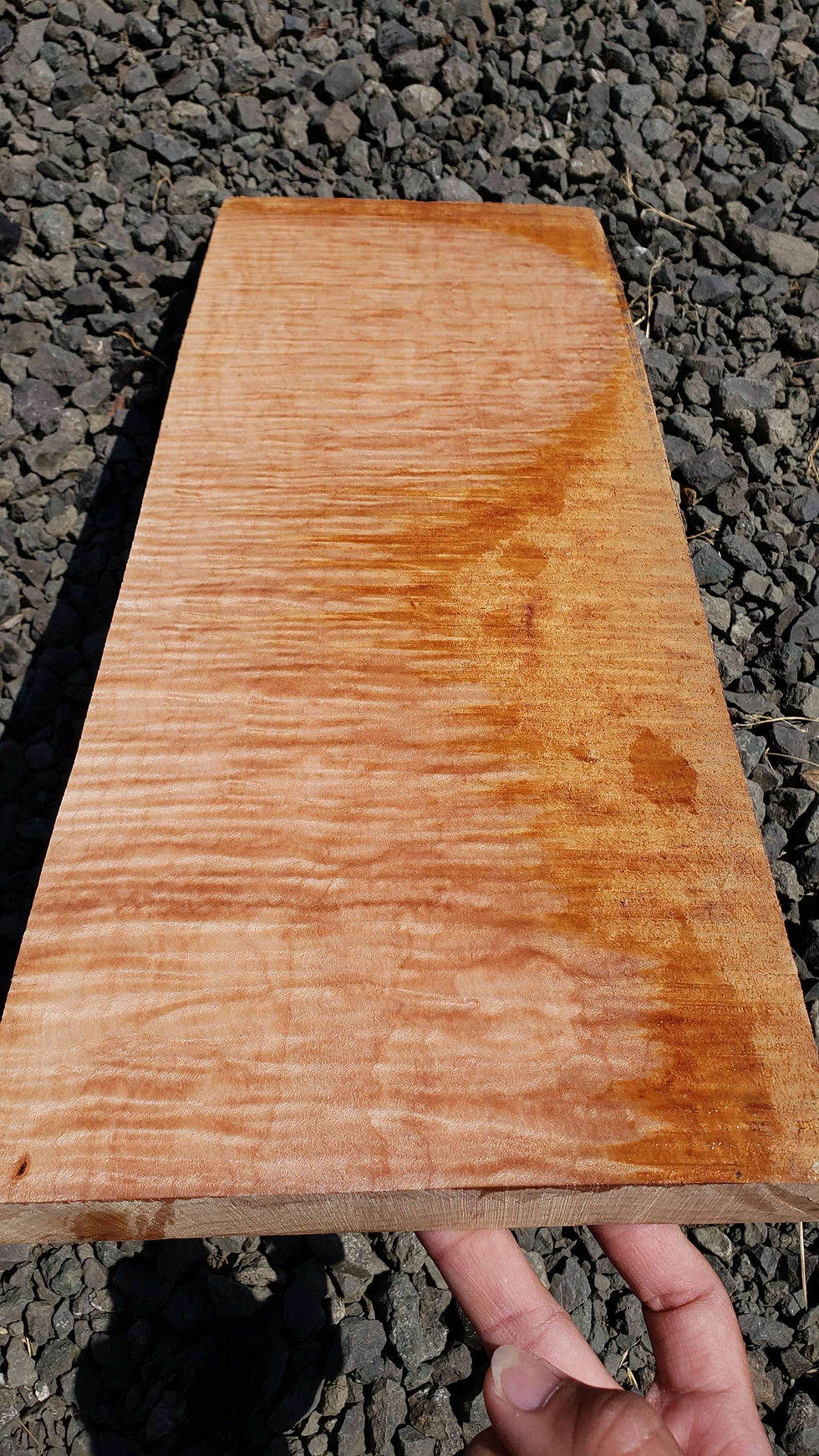 Thumbnail: Curly maple 1 piece (B446)