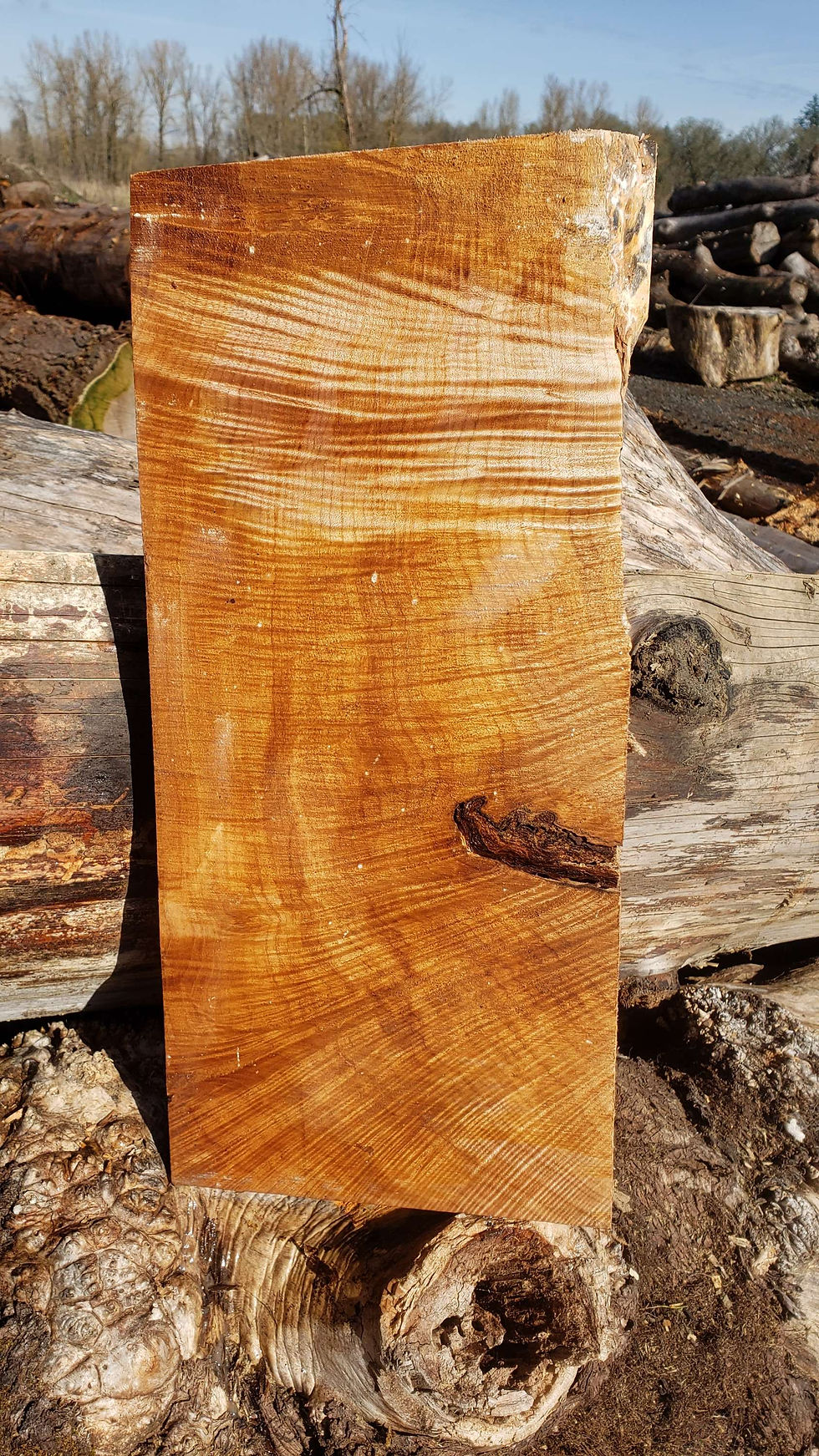 Thumbnail: Curly maple 1 piece (B388)