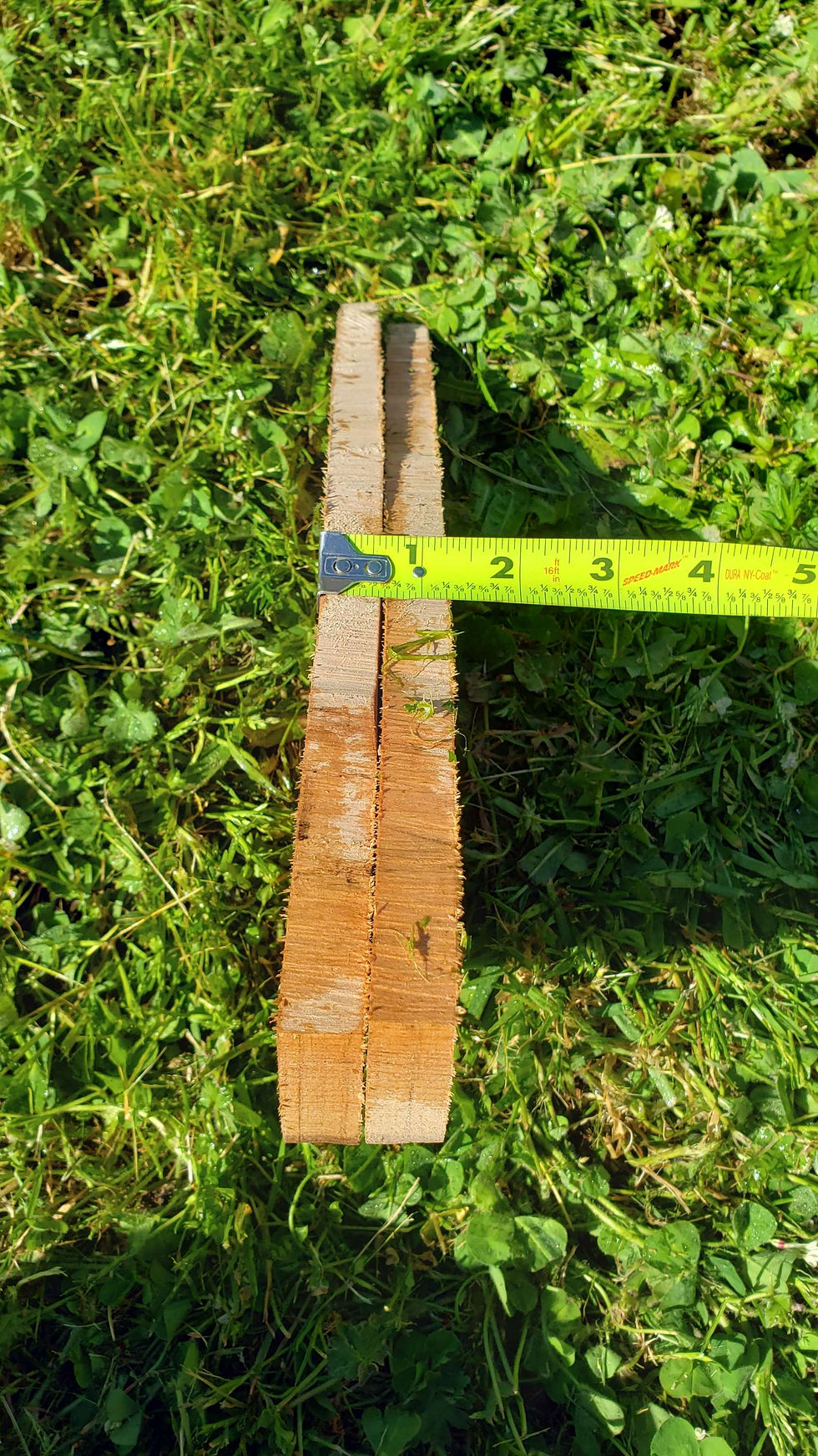 Thumbnail: Maple burl 2 pieces (B418)