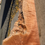 Thumbnail: Curly maple 1 piece (B515)