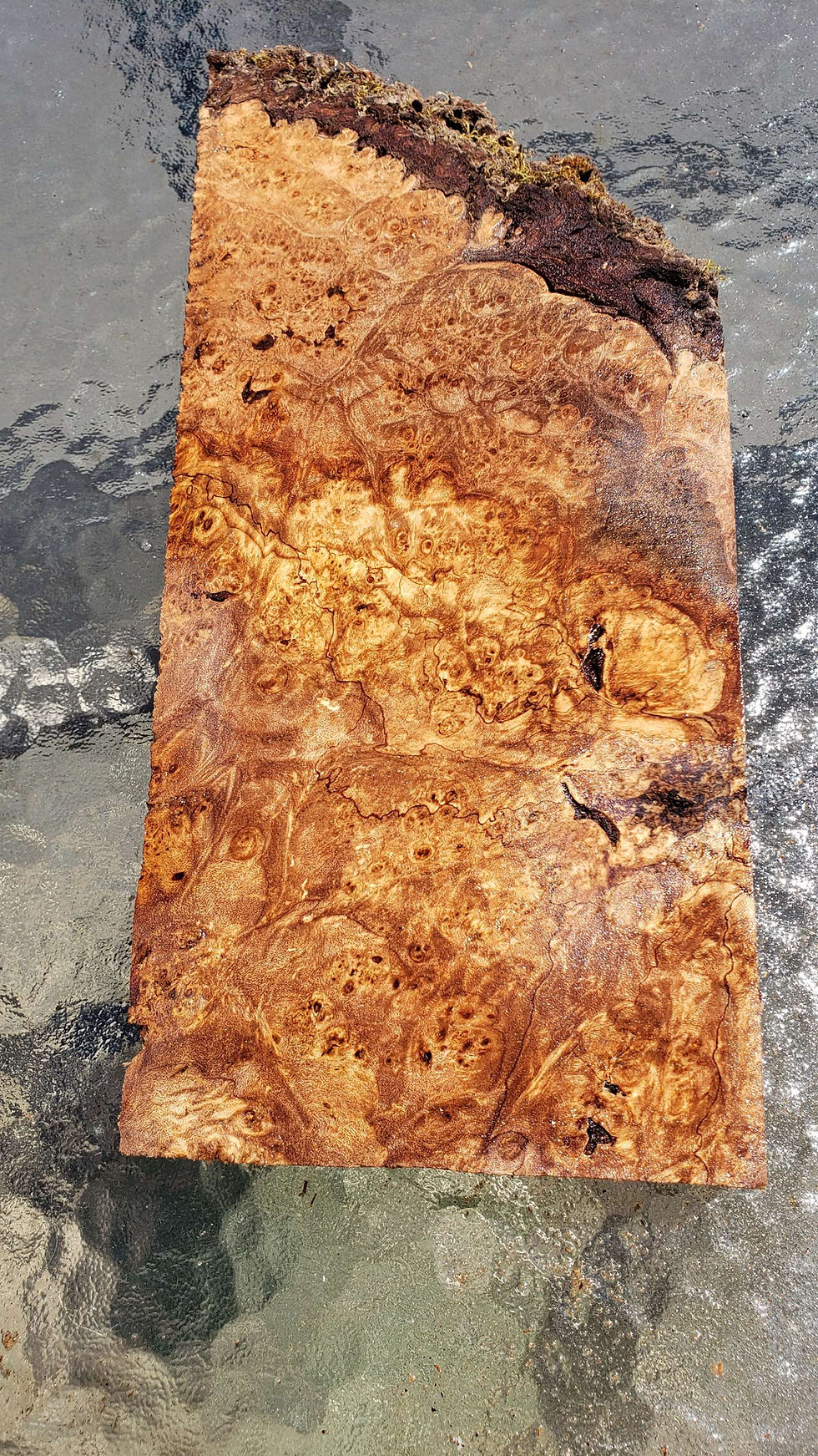 Thumbnail: Splated maple burl 1 piece (B441)