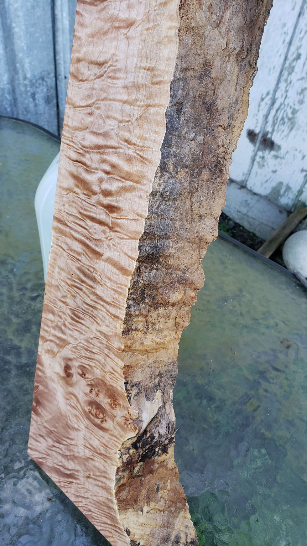 Thumbnail: Curly +quilted maple 1 piece (B386)