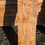 Thumbnail: Curly Maple with splated 1 Piece (B481)