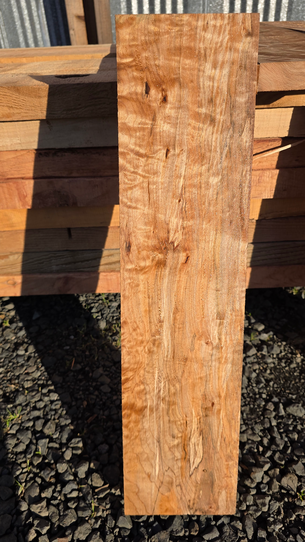 Thumbnail: Curly Maple with splated 1 Piece (B481)