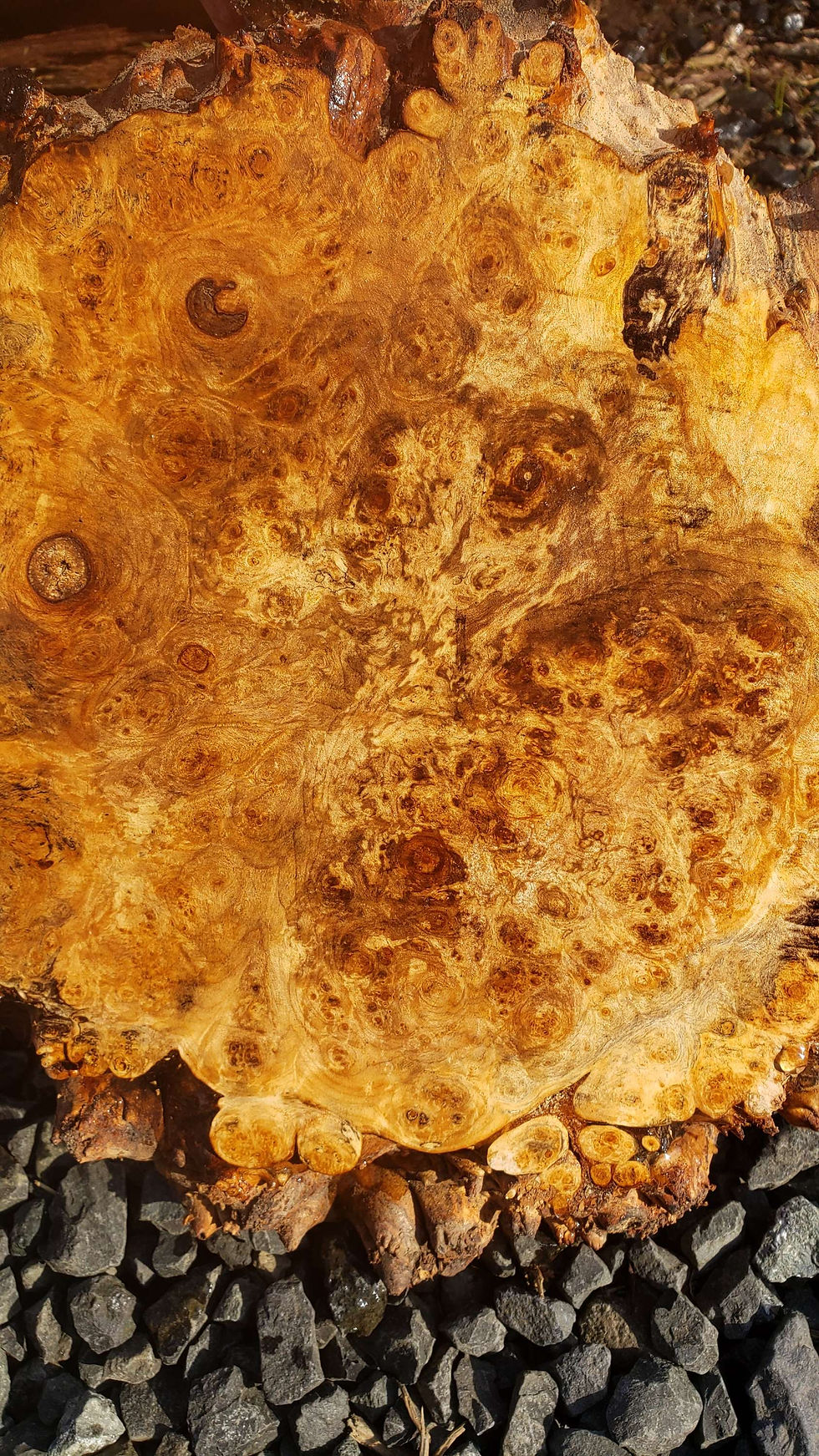 Thumbnail: Maple burl 1 piece (B465)
