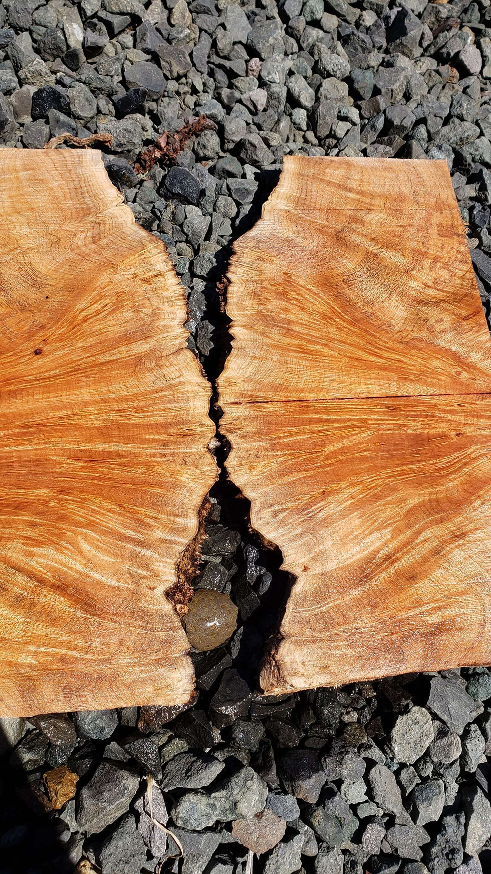 Thumbnail: Maple burl 2 pieces (B422)