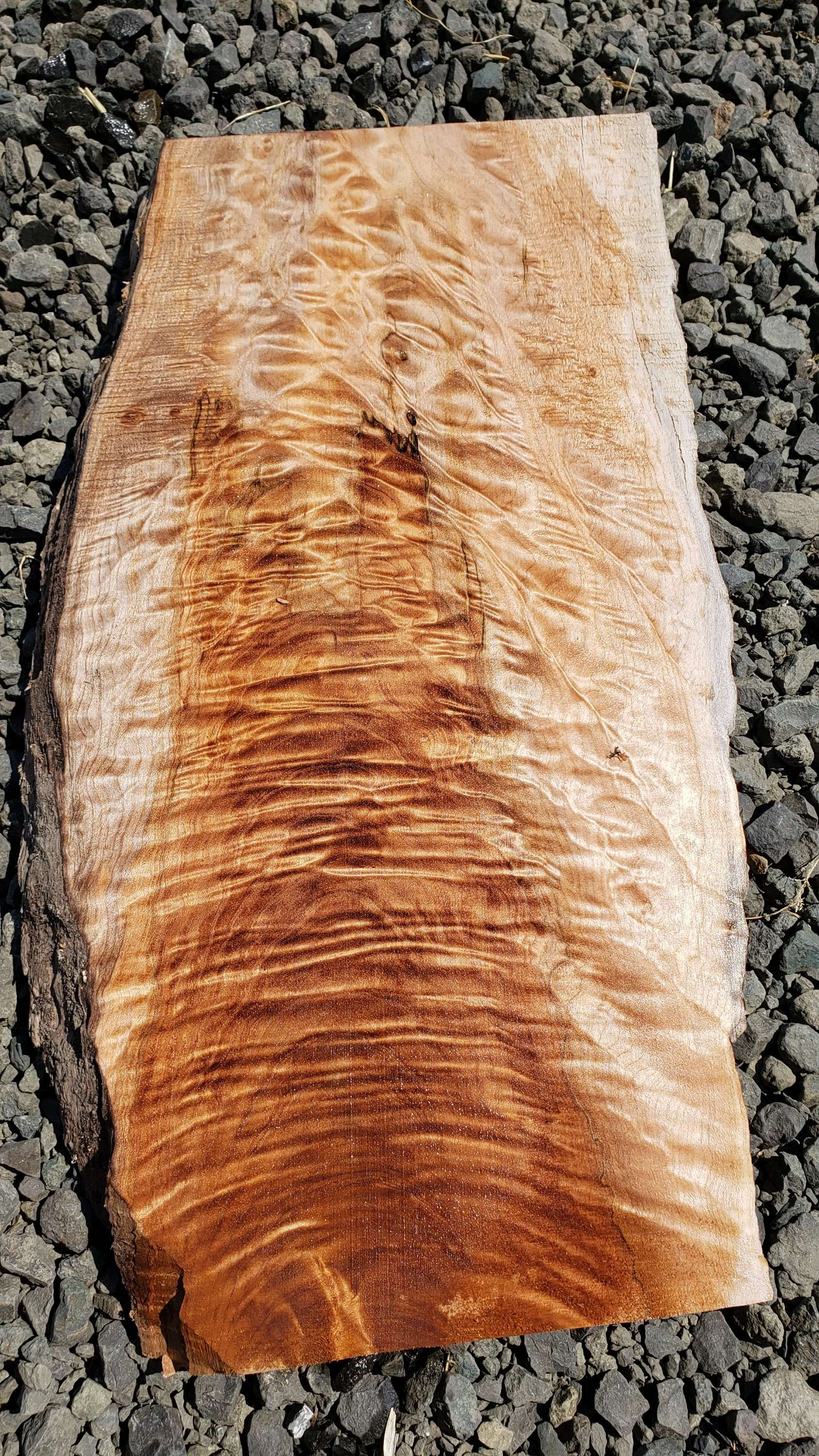 Quilted maple 1 piece (B448)