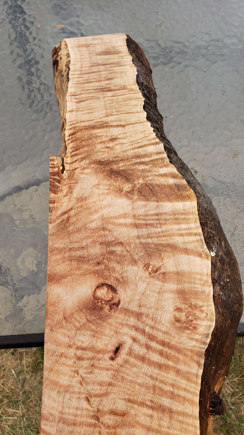 Thumbnail: Curly maple 1 piece (B431)