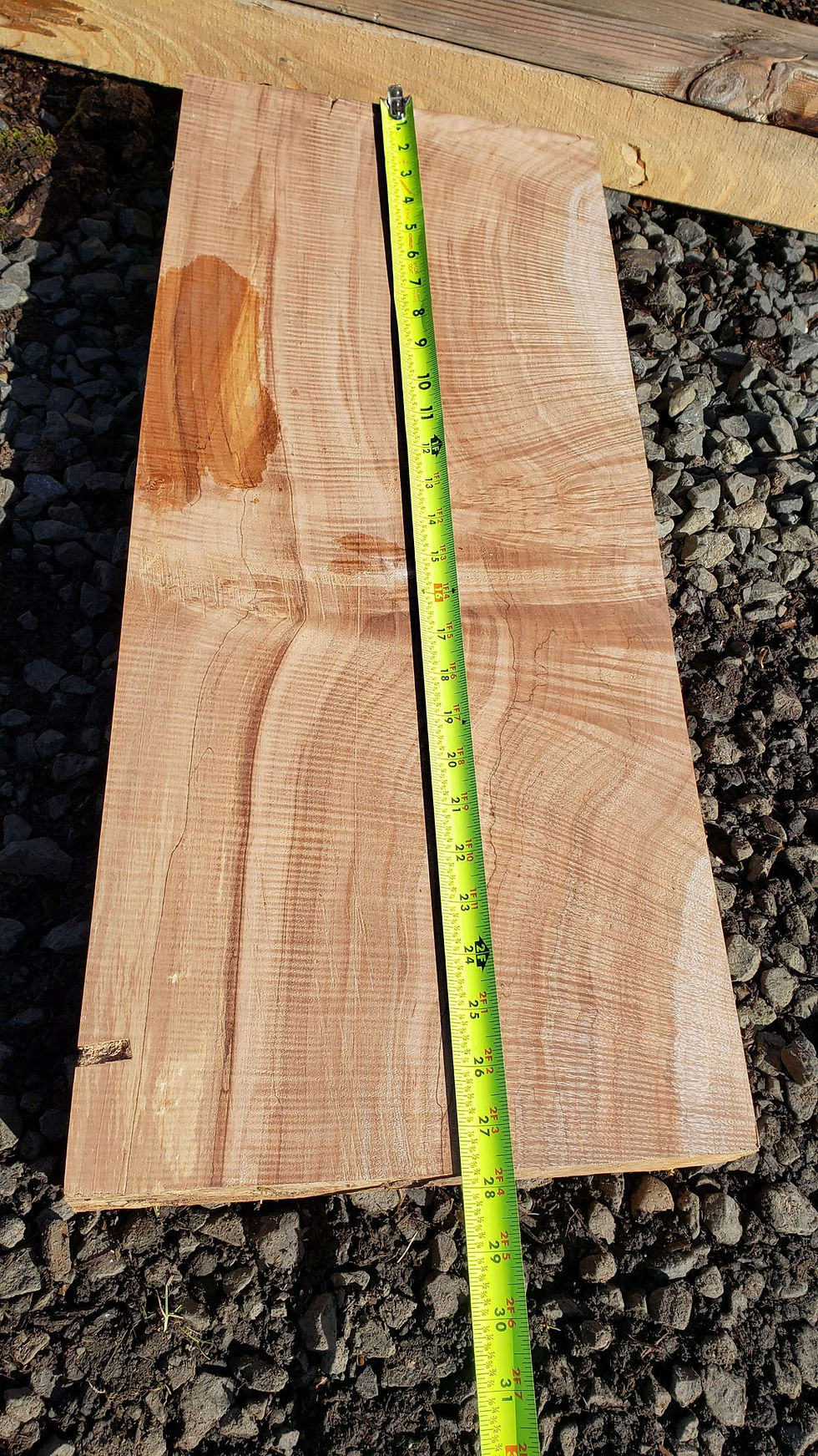 Thumbnail:  Curly silver maple (B358) free shipping 