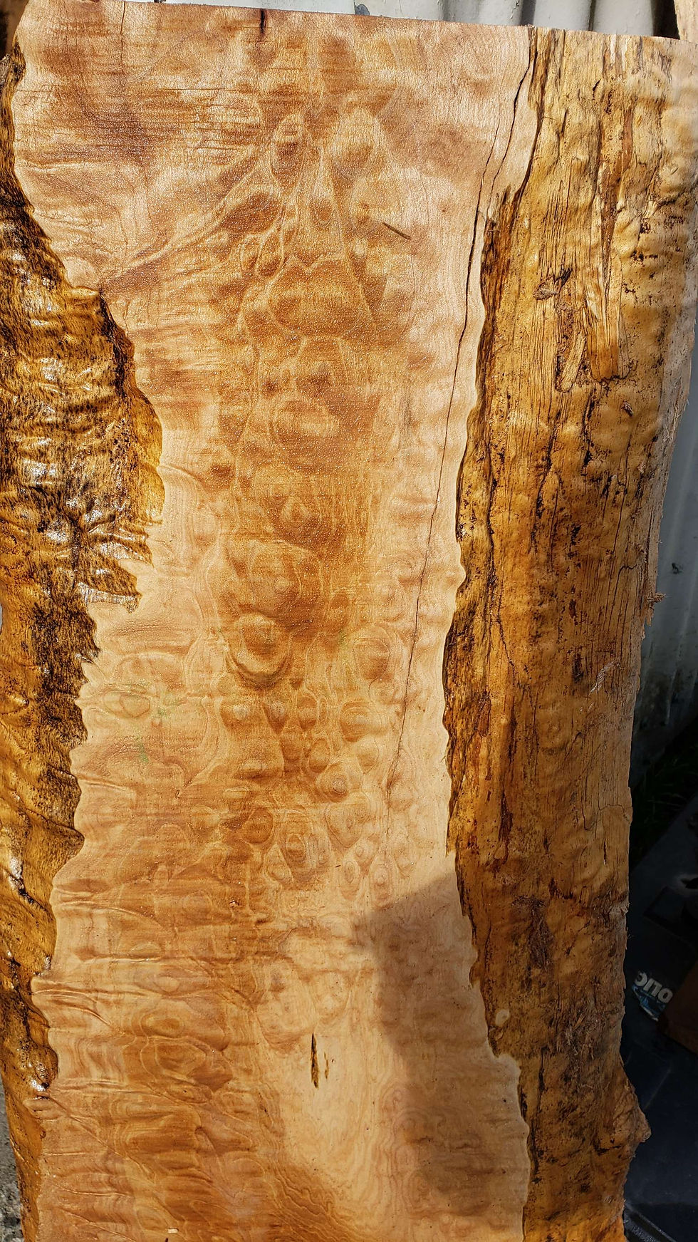 Thumbnail: Quilted maple 1 piece (B391)