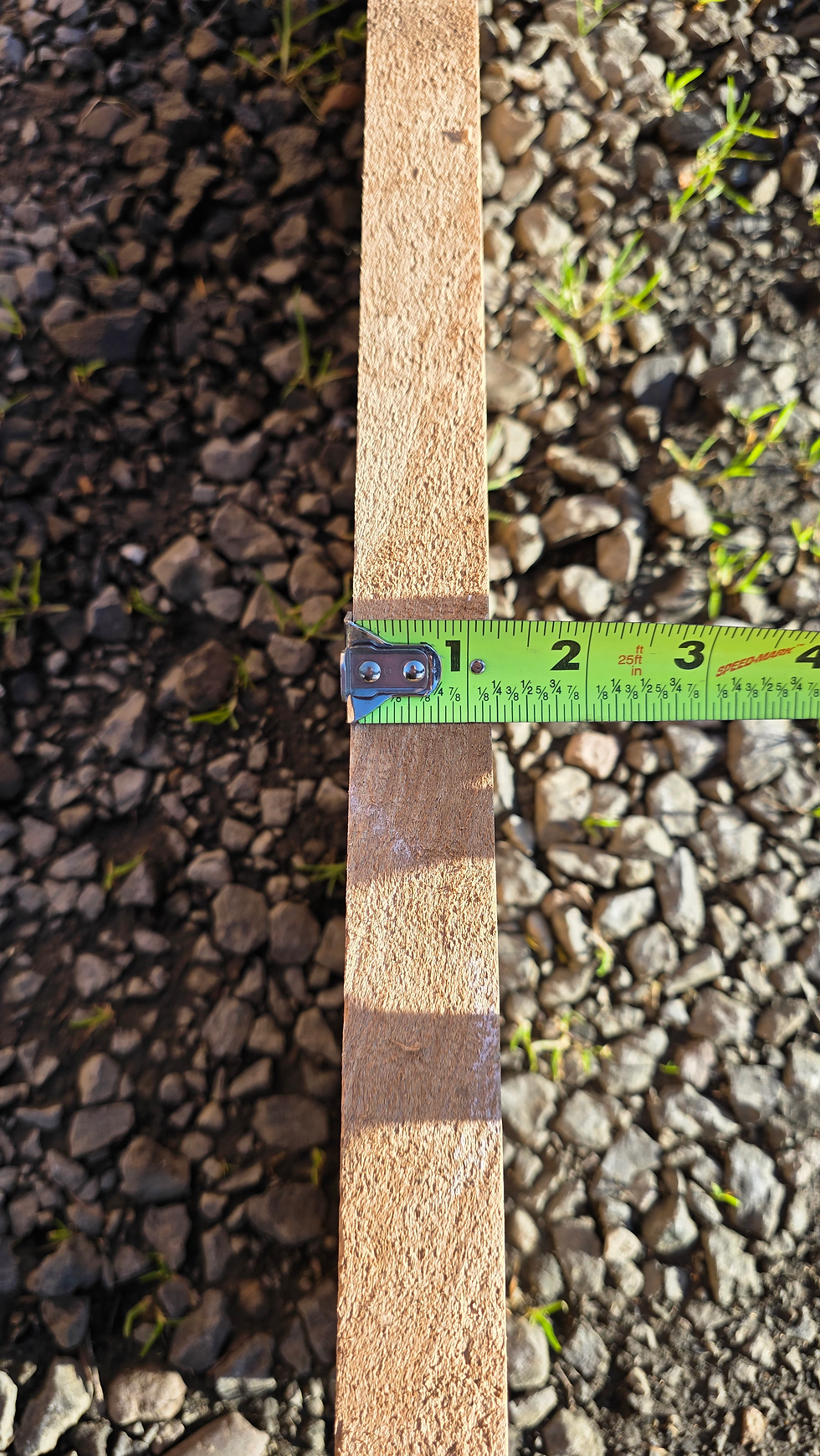 Thumbnail: Curly Maple with splated 1 Piece (B481)