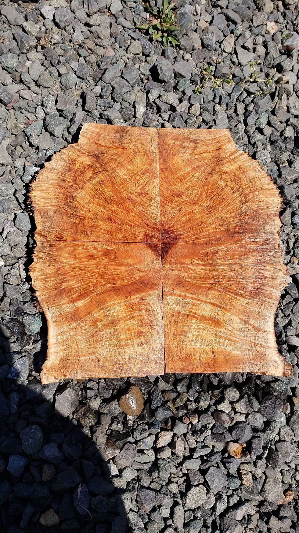 Thumbnail: Maple burl 2 pieces (B423)