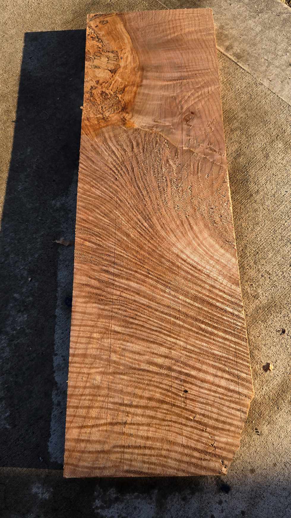 Thumbnail: Curly maple with spalted 1 piece (B513)