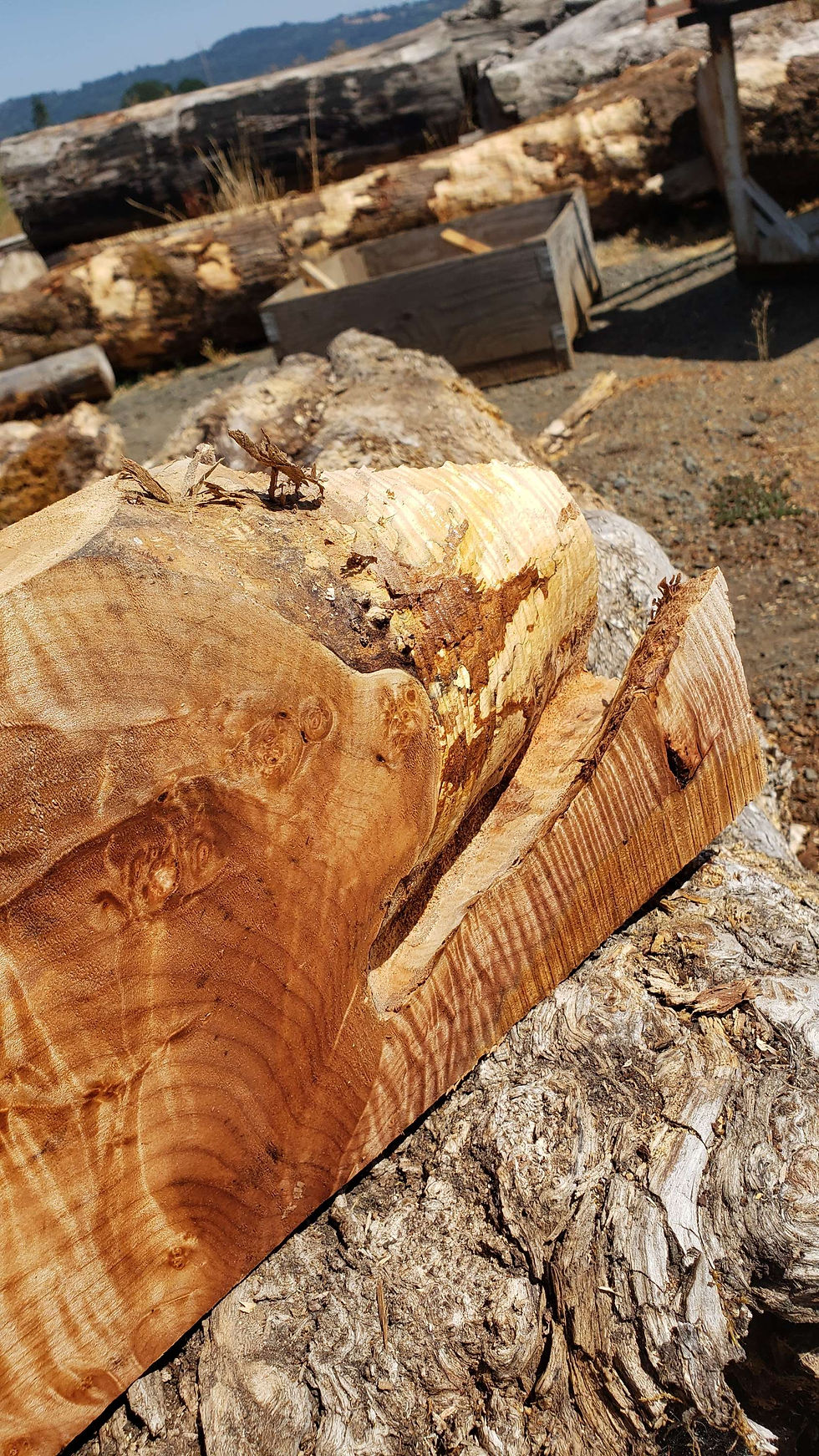 Thumbnail: Curly maple 1 piece (B453)