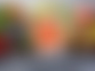 Nutrição Inteligente: Como a alimentação funcional pode auxiliar na prevenção de doenças crônicas e