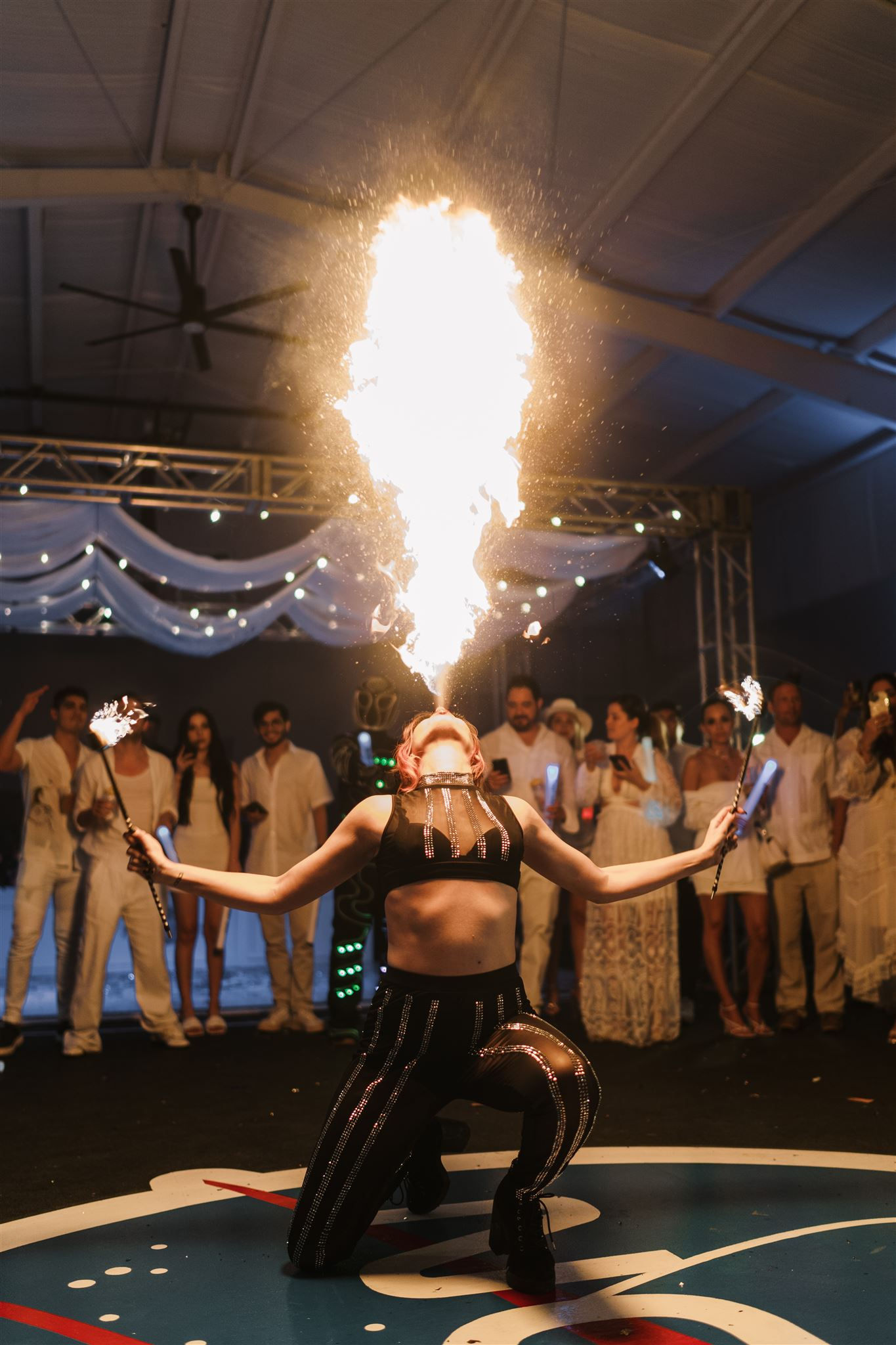 Cirque Curiosities