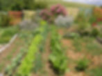 Le potager