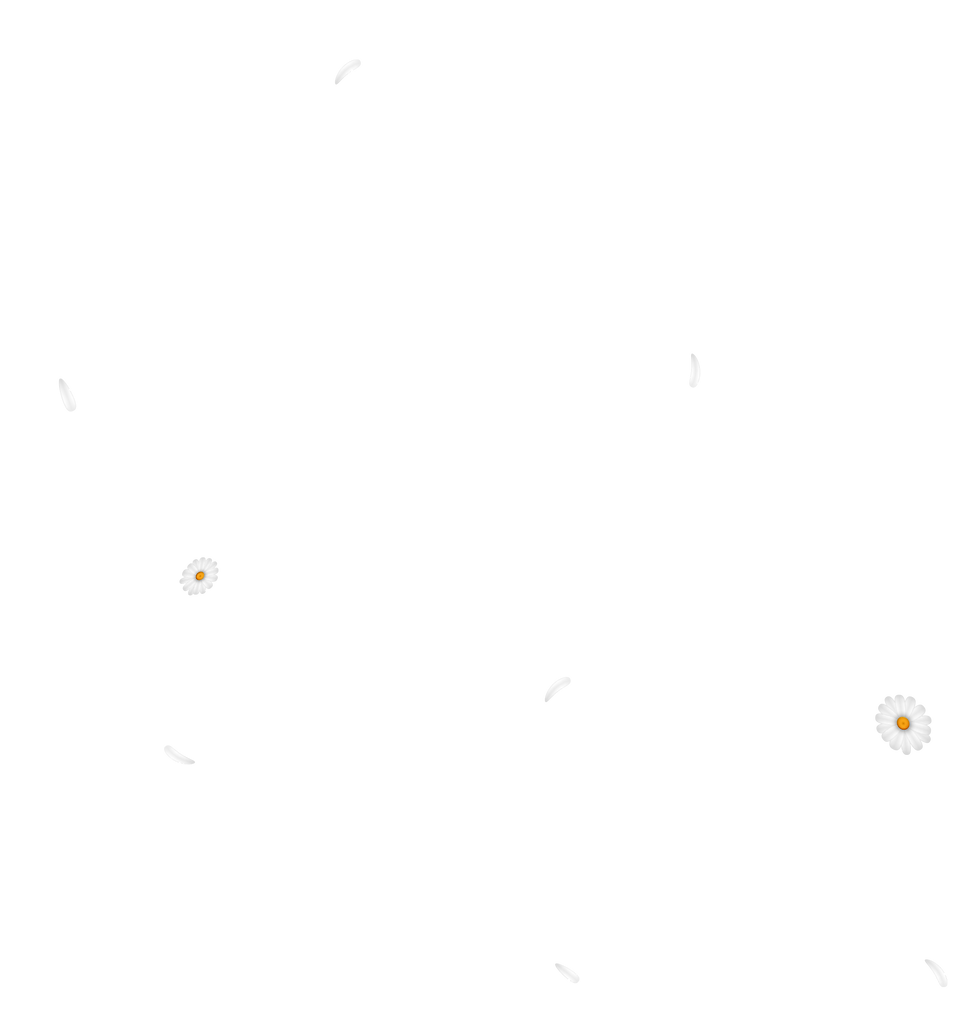 flower fly.png