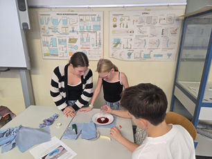 Schülerinnen experimentieren