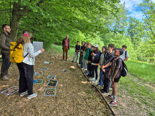 Waldjugendspiele in Pyhra