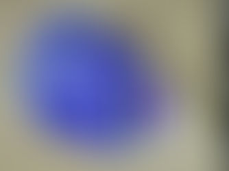 RIP'D Premium Hoodies