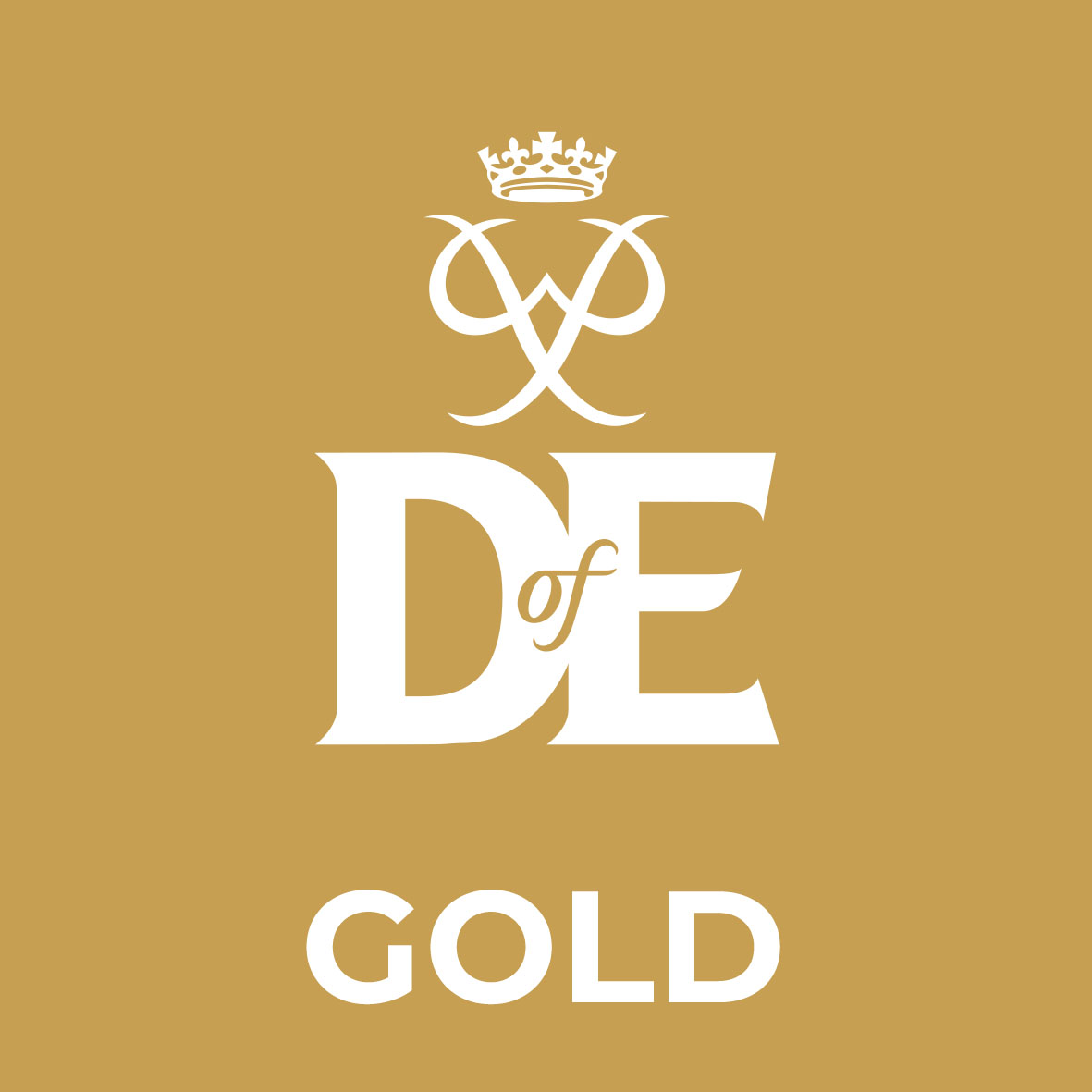 DofE Logo Gold Square