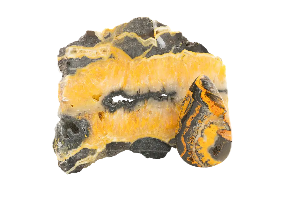 Bumble Bee Jasper.jpg