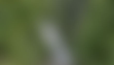 Le più belle cascate del Friuli-Venezia Giulia