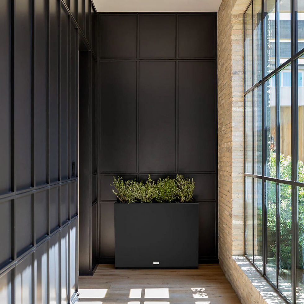 Thumbnail: Black Cube Planter