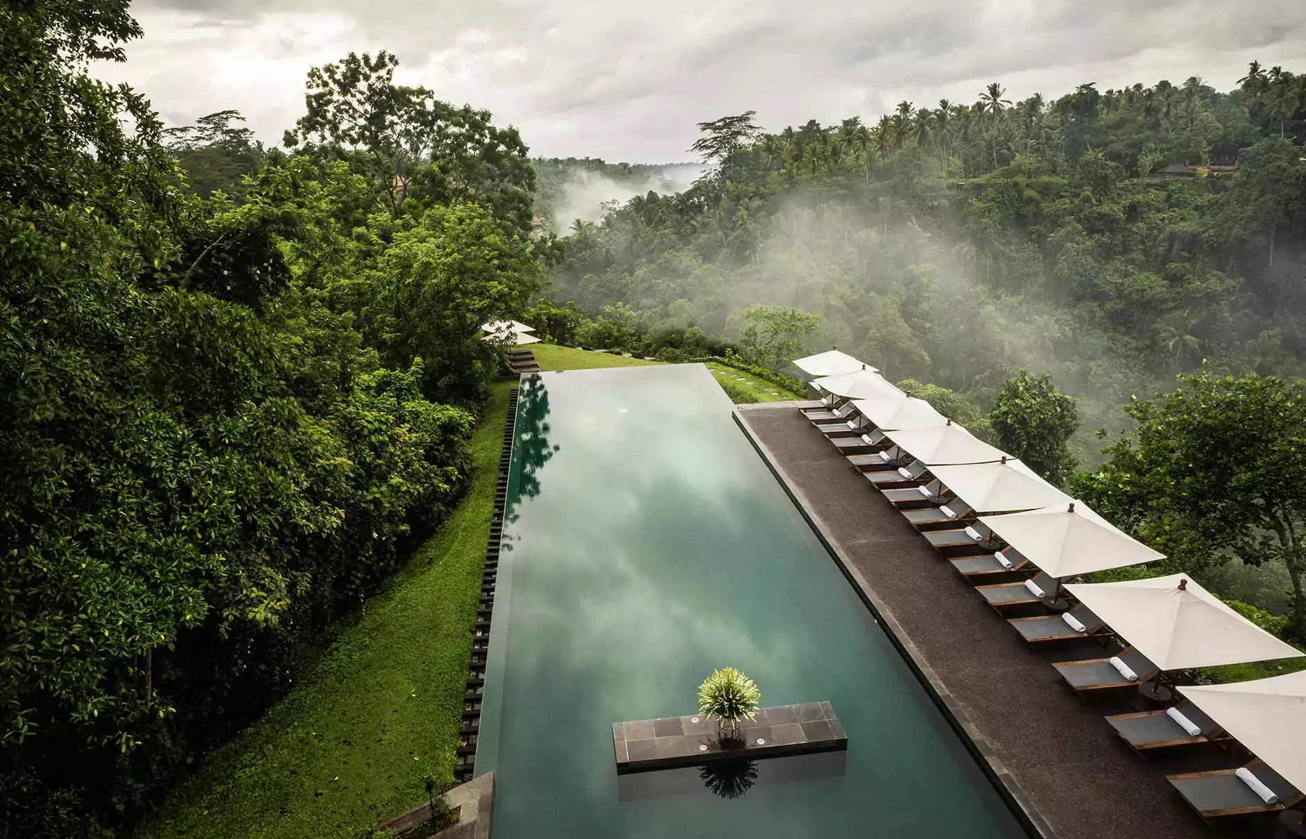 alila-ubud-infinity-pool-14.webp